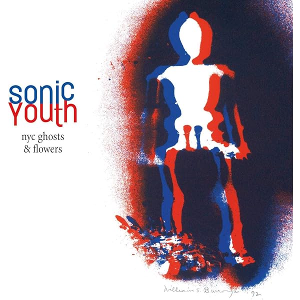 Sonic Youth - A Thousand Leaves[2 LP] - Amazon.com Music